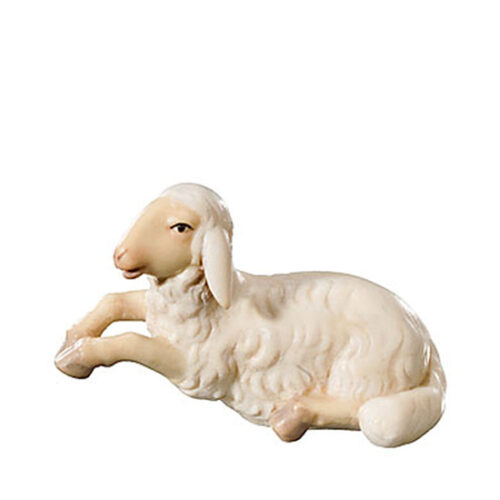 Royal nativity – Sheep resting