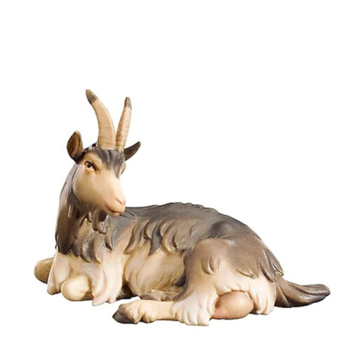 Royal nativity – Goat resting