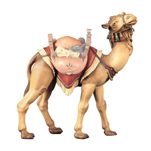 Kamel - Hirtenkrippe