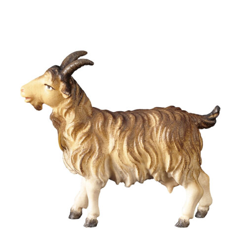 Goat - Shepherds Nativity