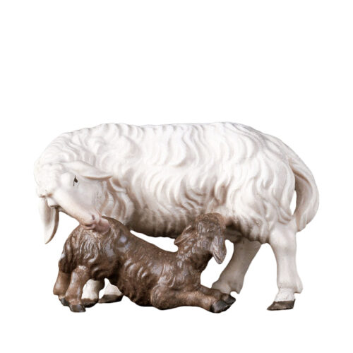 Schaf mit säugendem Lamm - Hirtenkrippe