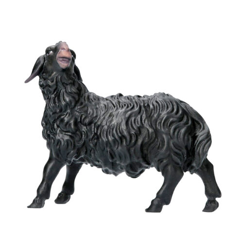 Schwarzes Schaf aufschauend - Hirtenkrippe