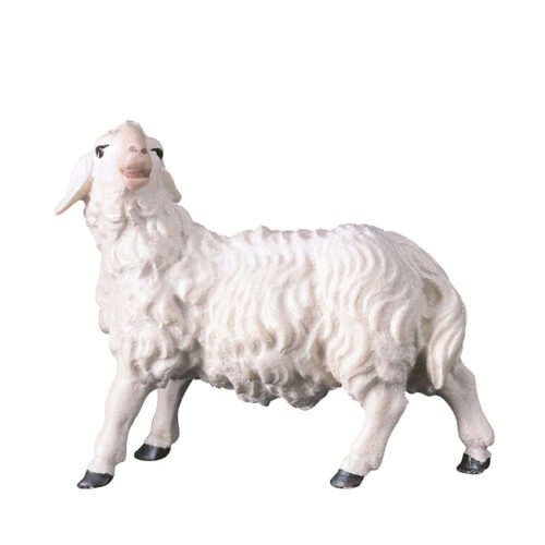 Schaf links schauend - Hirtenkrippe