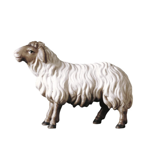 Schaf schauend schwarzer Kopf - Hirtenkrippe