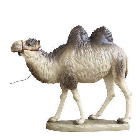 ANRI - Bactrian camel - Ulrich Bernardi nativity