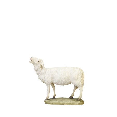 ANRI - Sheep looking up - Karl Kuolt nativity