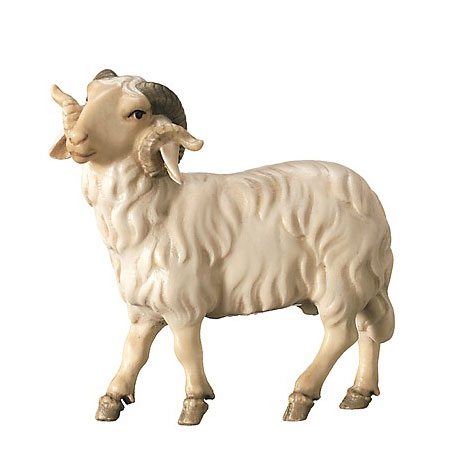 Royal nativity - Sheep standing