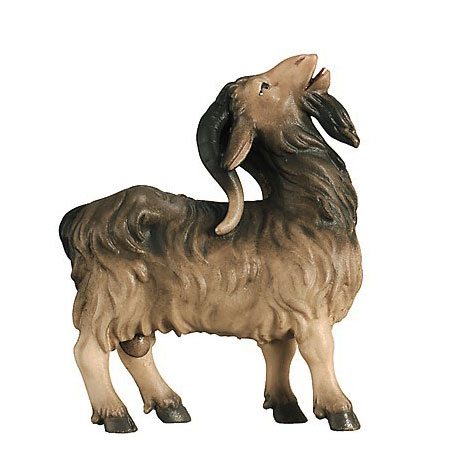 Royal nativity - Billy goat