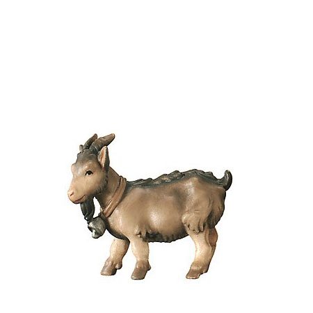 Royal nativity - Kid goat