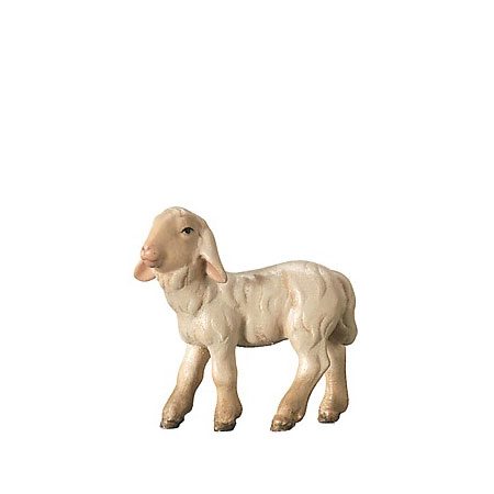Royal nativity - Lamb standing
