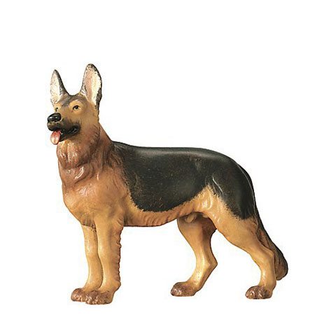 Royal nativity - German shepherd dog