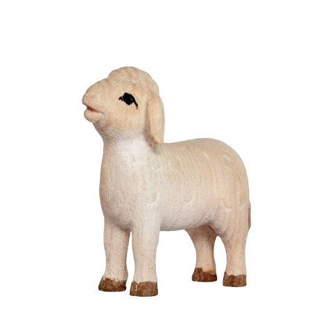Playful nativity - Lamb standing