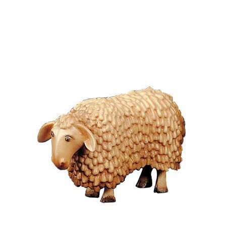 Sheep running - Shepherds Nativity