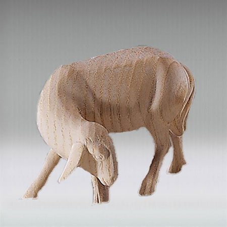 Sheep looking back - ROWI nativity